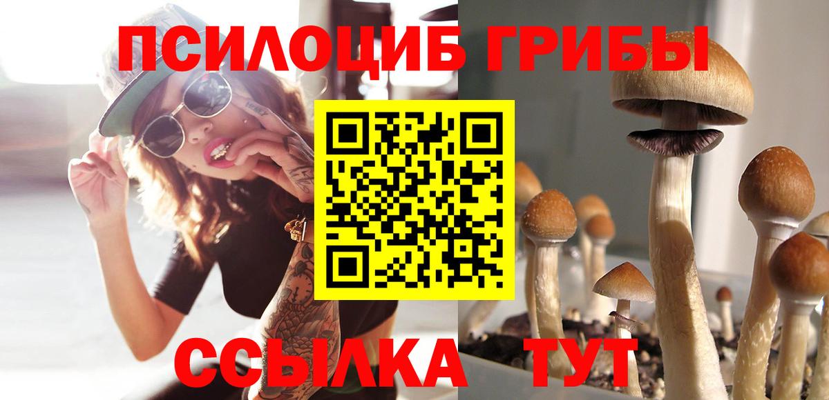 Галлюциногенные грибы Magic Shrooms Новосибирск