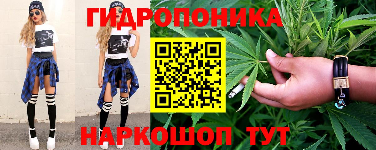 Шишки марихуана план  Вход с VPN  Новосибирск  Бошки Шишки Amnesia 